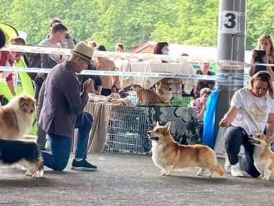Basmanoff Kennel