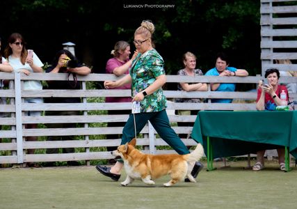 Basmanoff Kennel