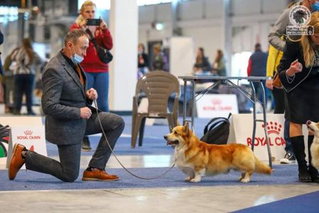 Basmanoff Kennel