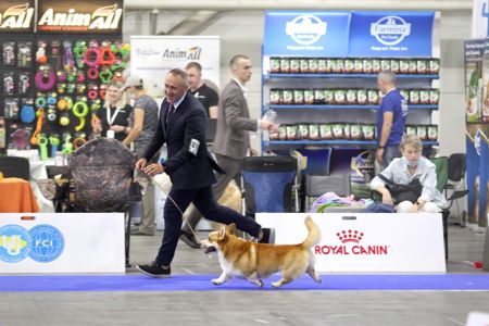 Basmanoff Kennel