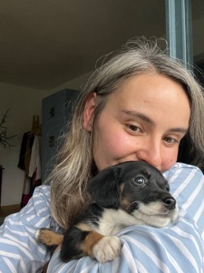 Цуценя Лілі шукає родину