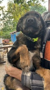 Малюки і дорослі шукають люблячі родини