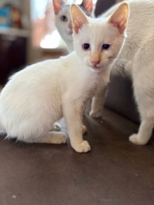 айс🧊