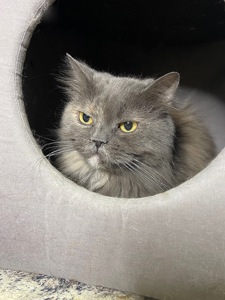 ХАКТУ 🐾
