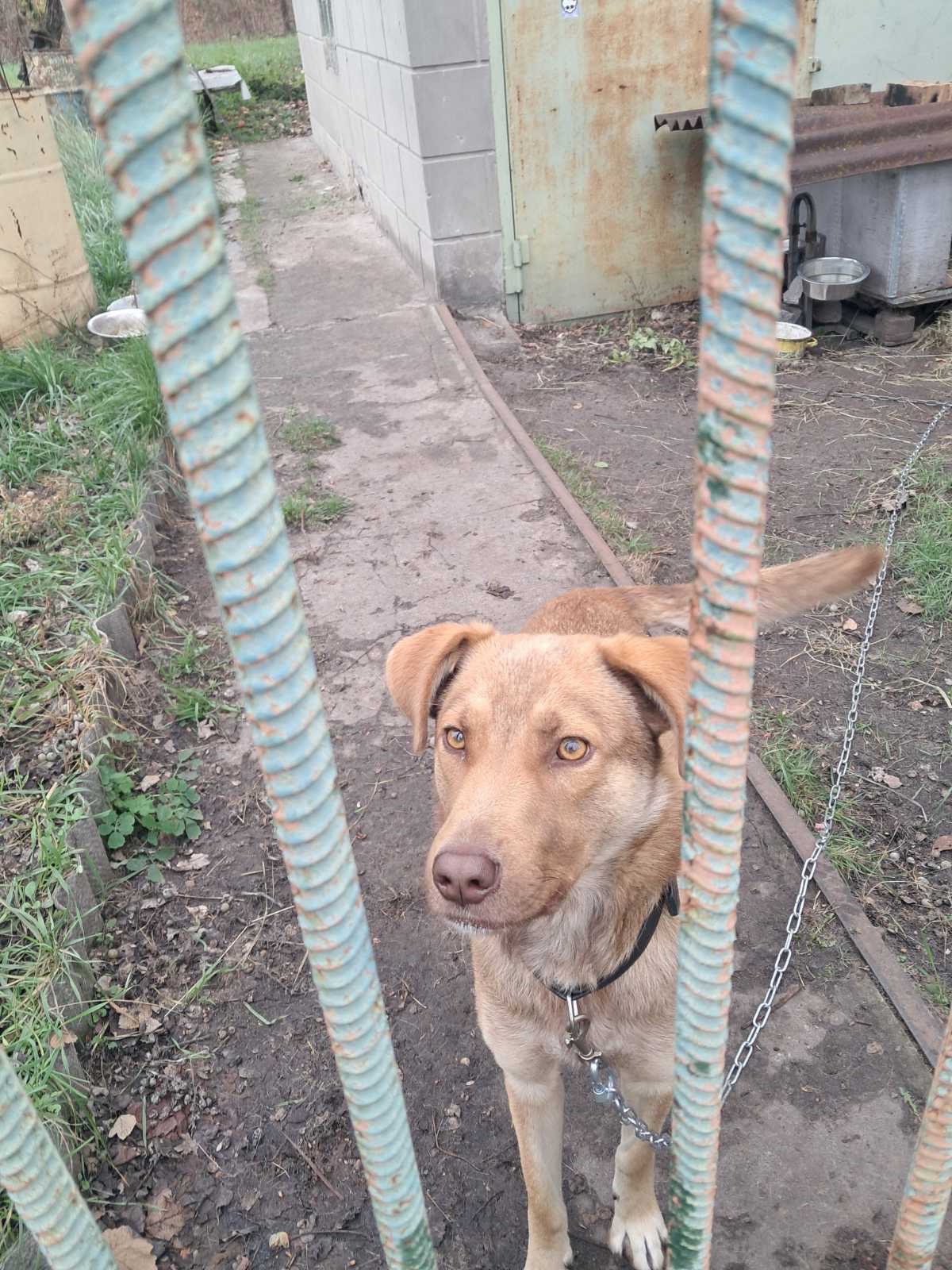 Чудовий хлопчик шукає люблячу родину