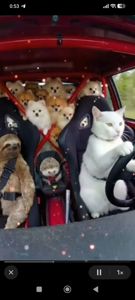 Аватар