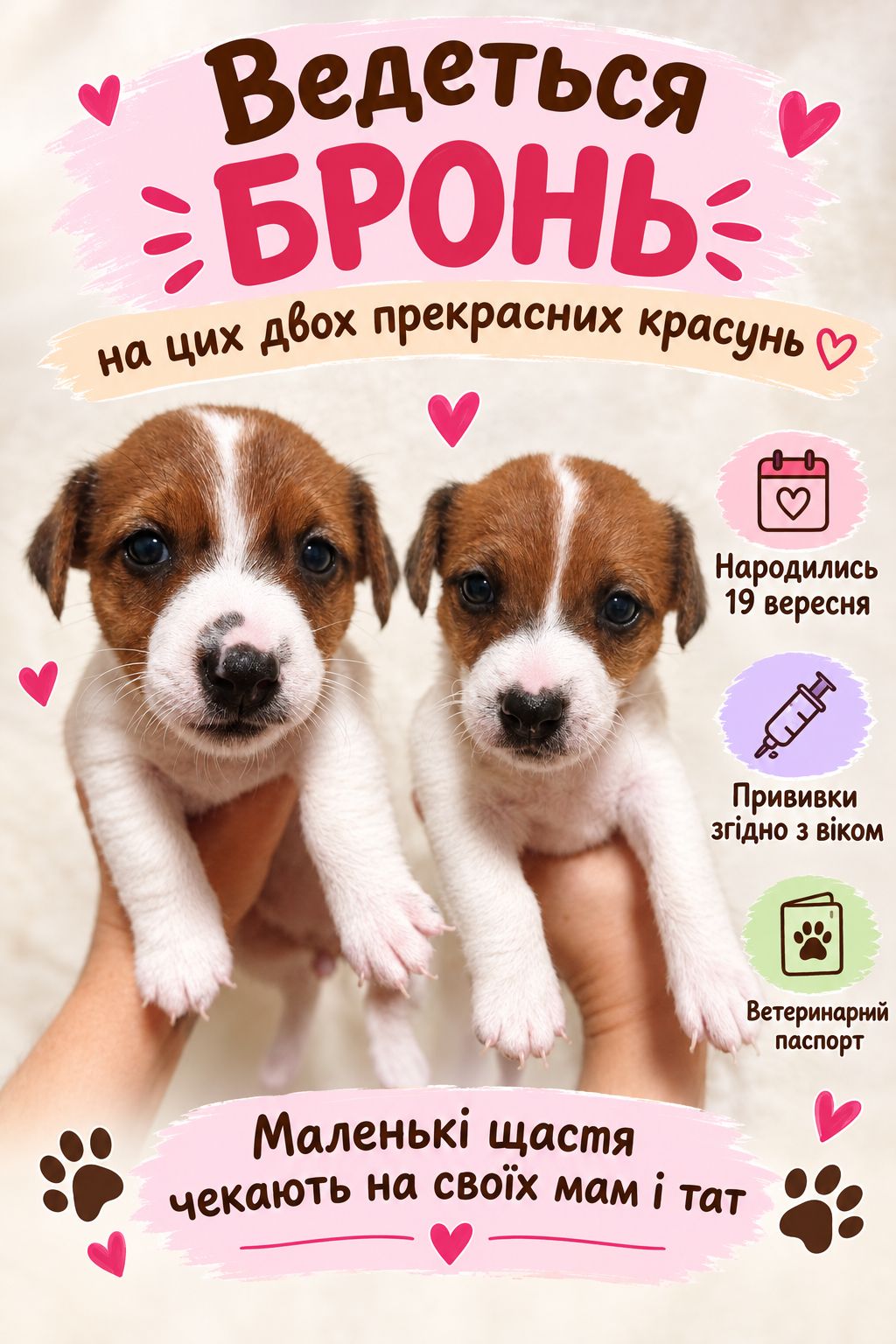 Бронь двох дівчаток