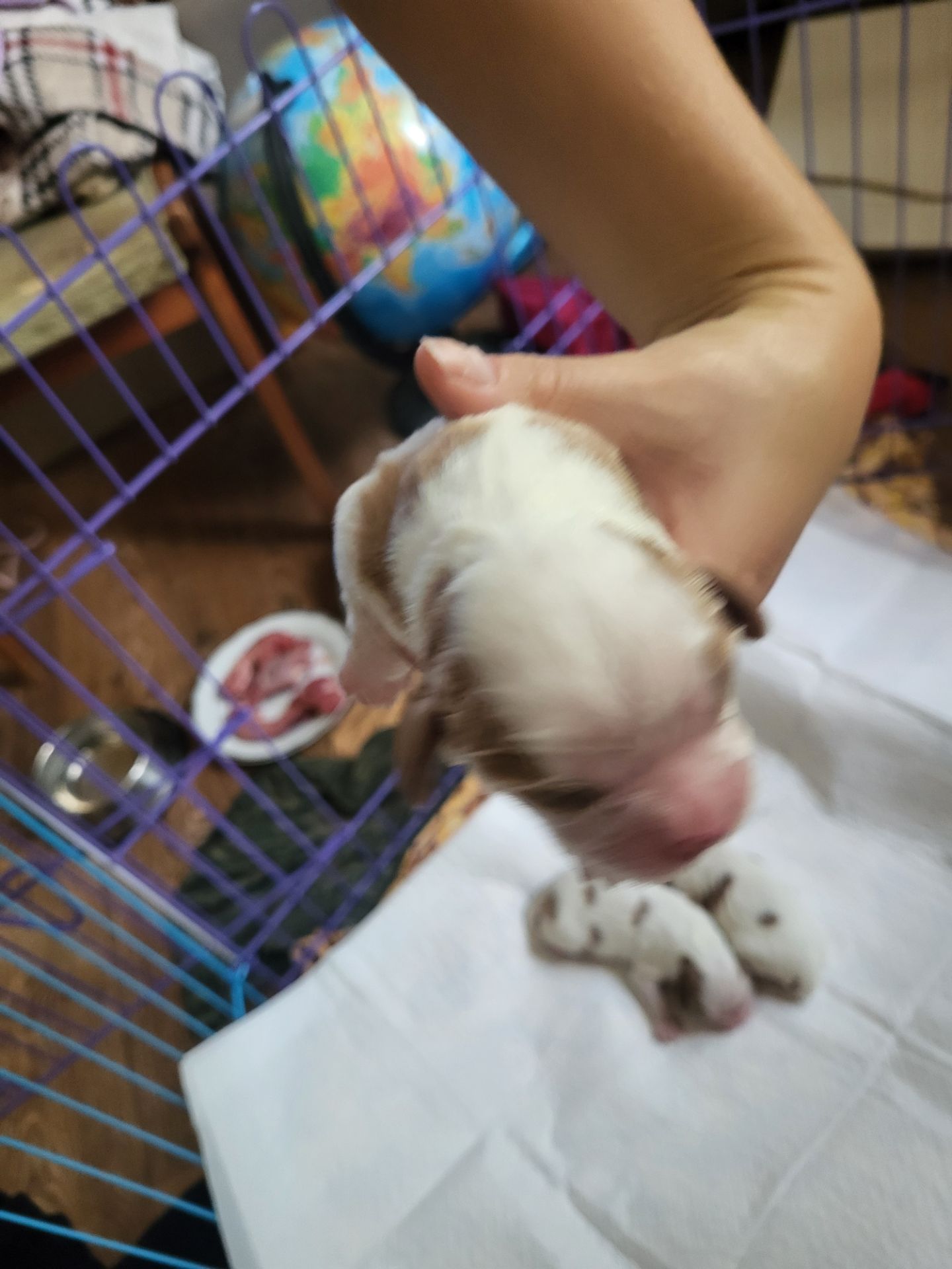 КАВАЛЕРЧИКИ ДІВЧАТА 🥰