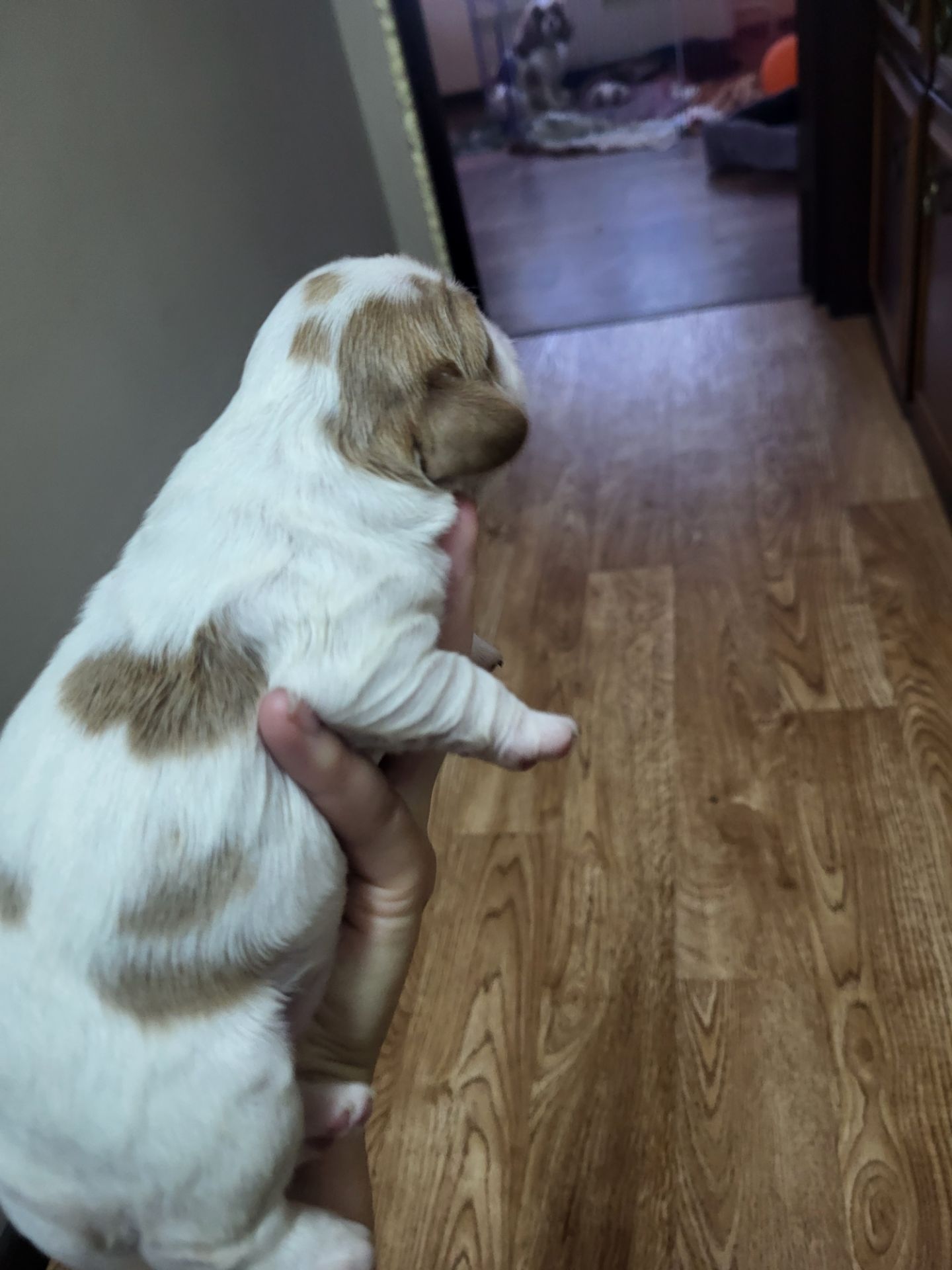 КАВАЛЕРЧИКИ ДІВЧАТА 🥰