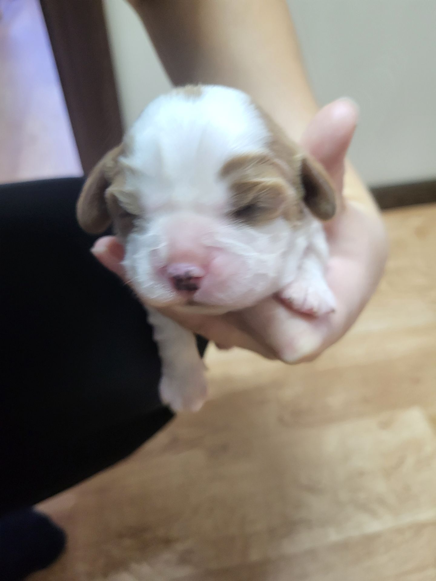 КАВАЛЕРЧИКИ ДІВЧАТА 🥰