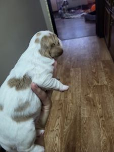 КАВАЛЕРЧИКИ ДІВЧАТА 🥰
