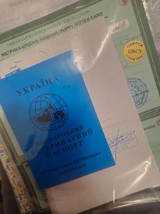 Малыш 5 месяцев