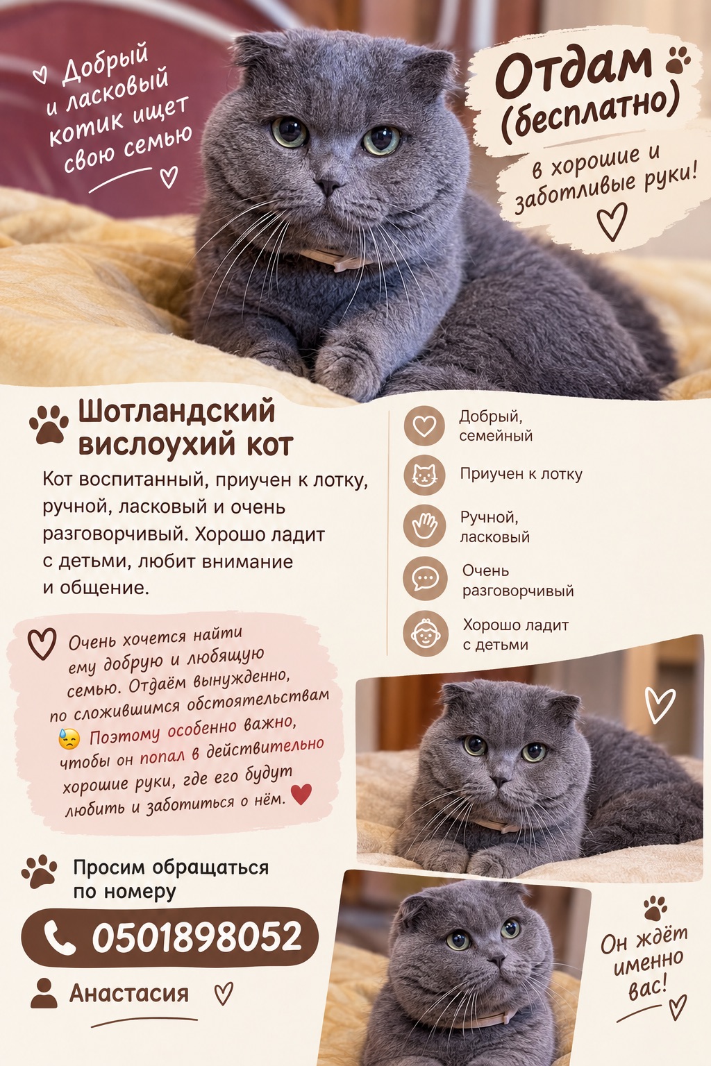 Кот Бася