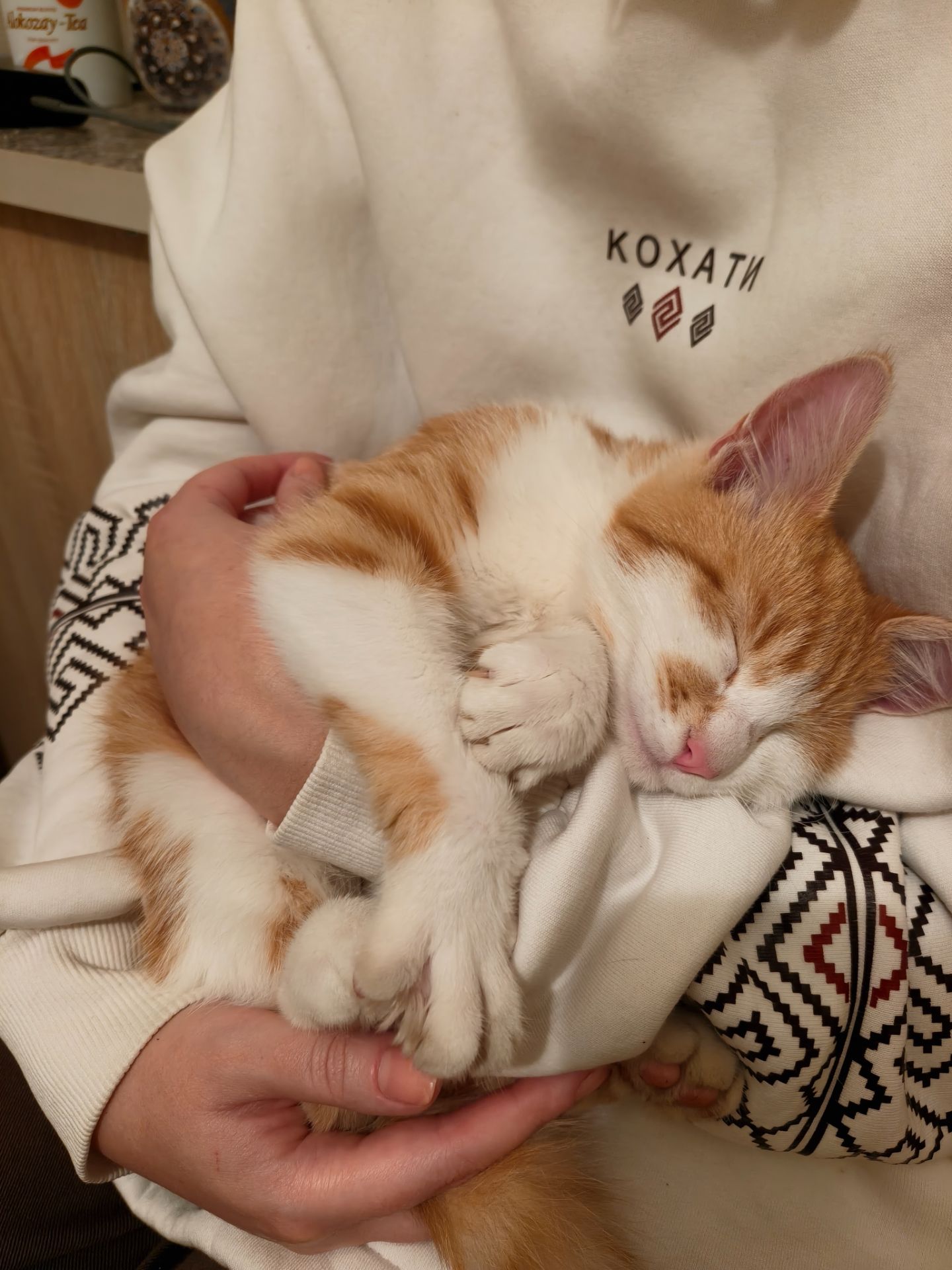 Котик 4-5 міс