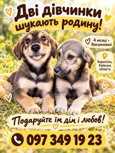 Цуценята дівчинки