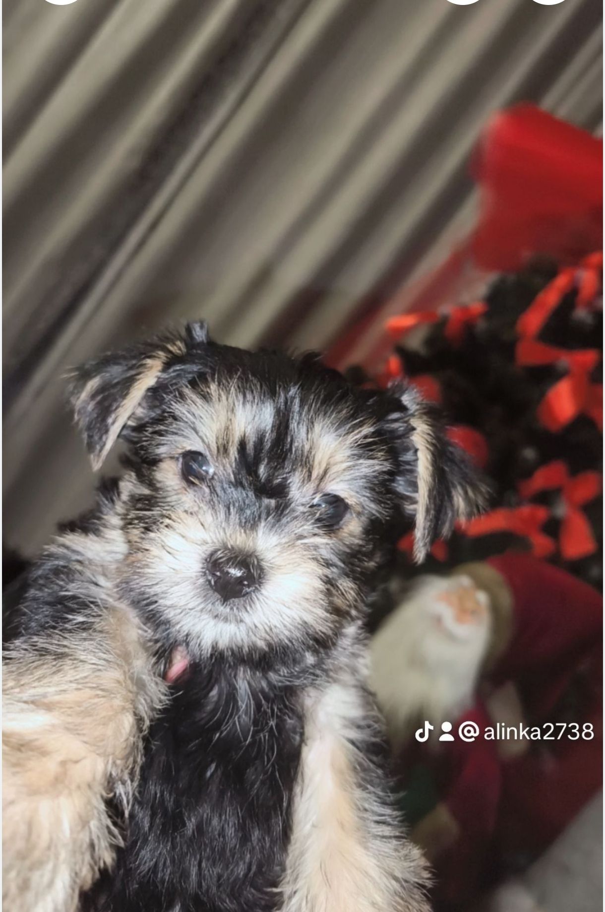 Пропонуються для бронювання