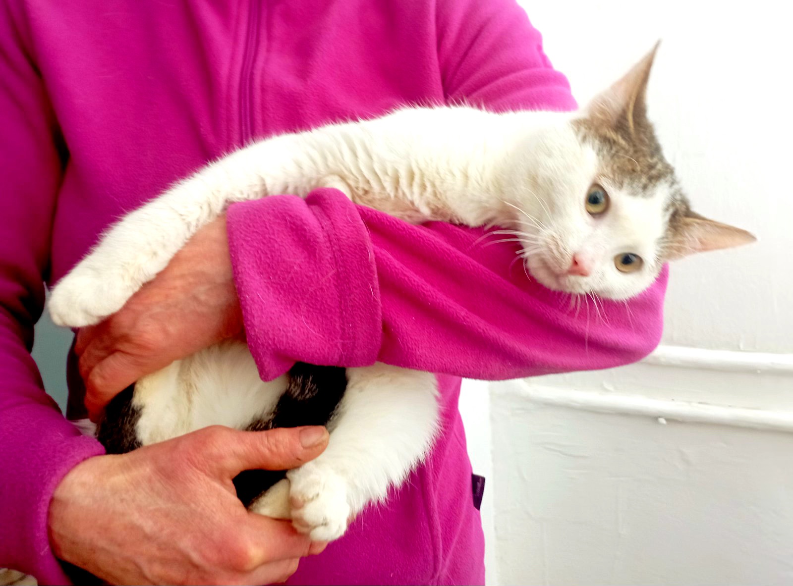 Кошеня Саша