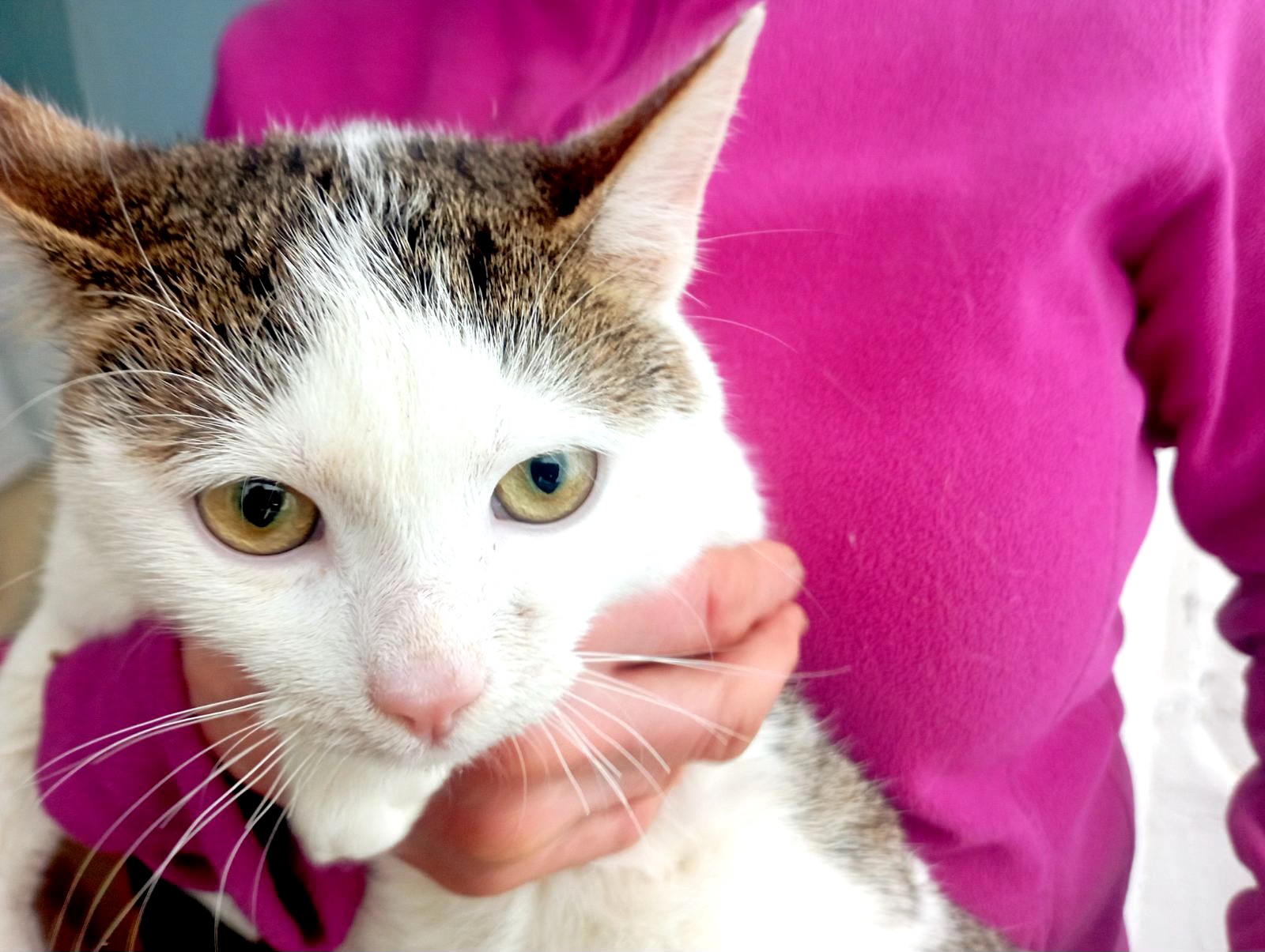 Кошеня Саша