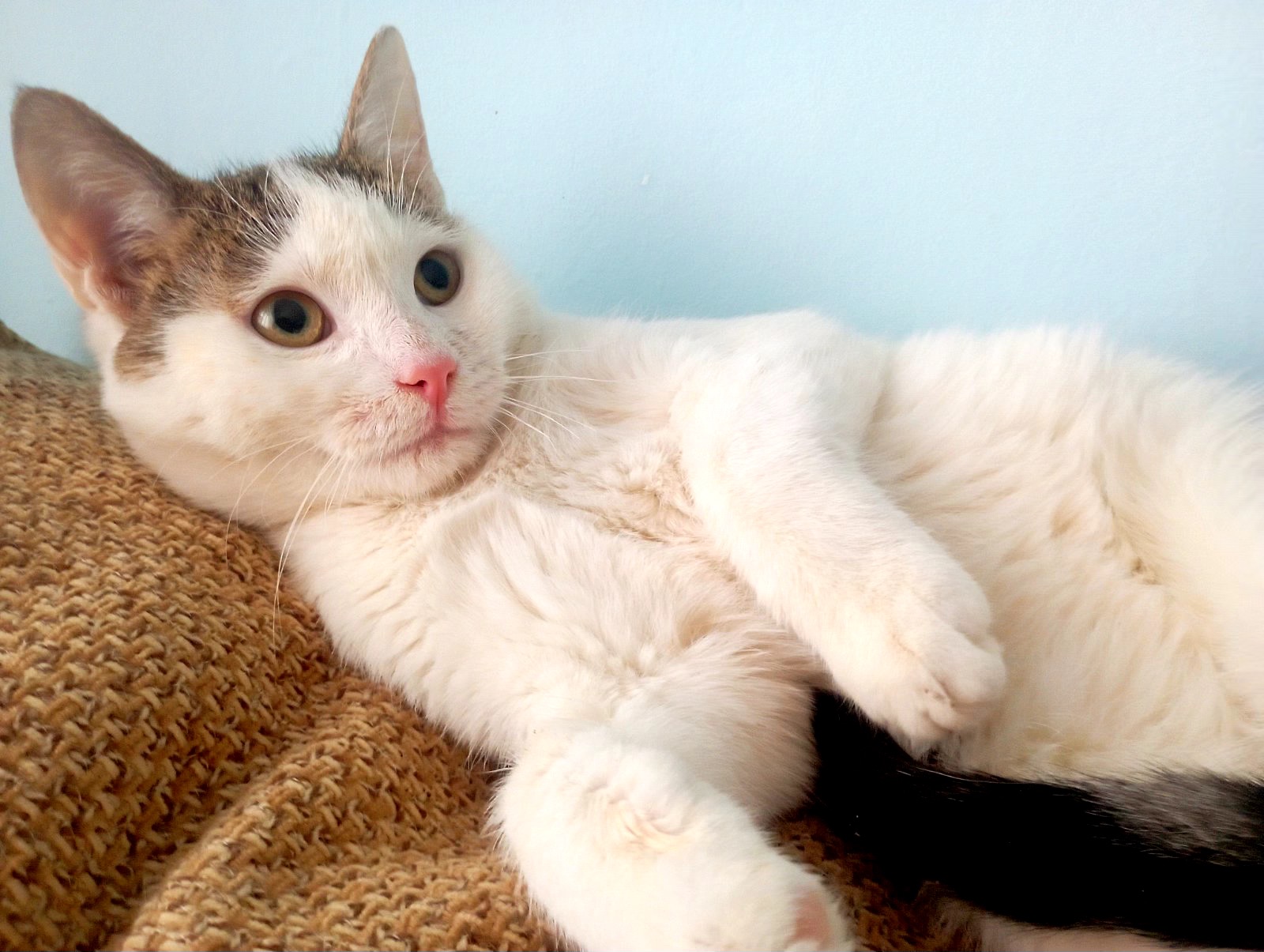 Кошеня Саша