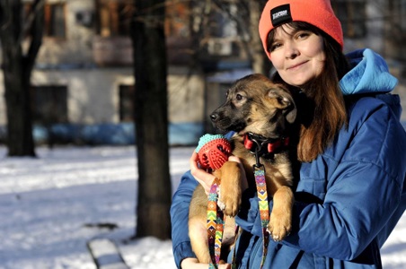 Цуценя Бейліз