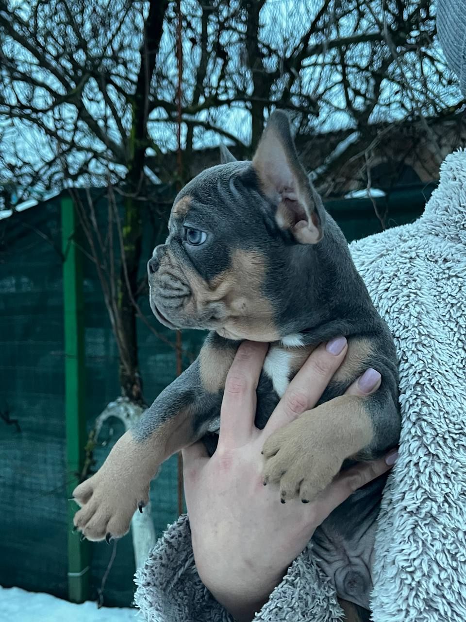 Маленькі хлопці з великим серцем