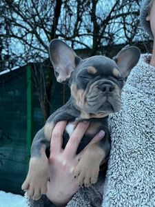 Маленькі хлопці з великим серцем