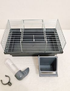 Волнистый попугай лютино, мальчик 2 мес