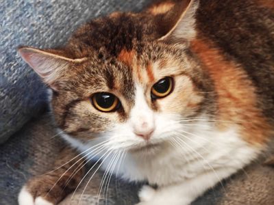 Карамелька