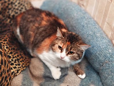 Карамелька