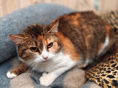 Карамелька