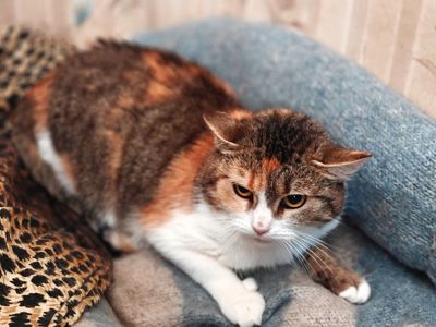 Карамелька