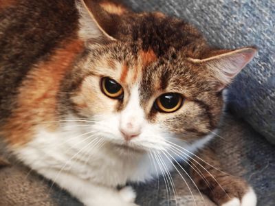 Карамелька