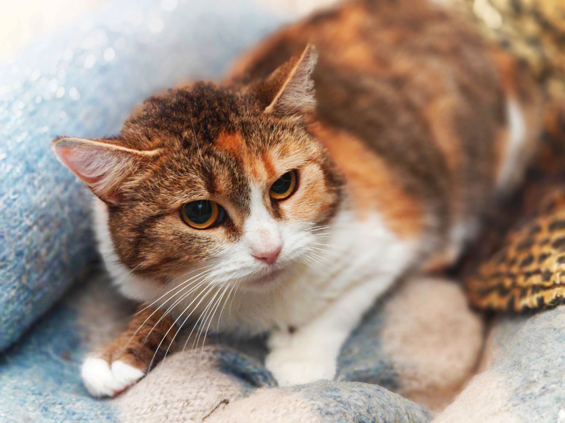 Карамелька