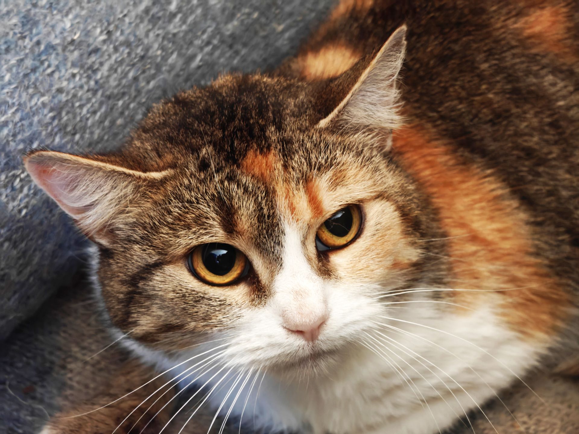 Карамелька