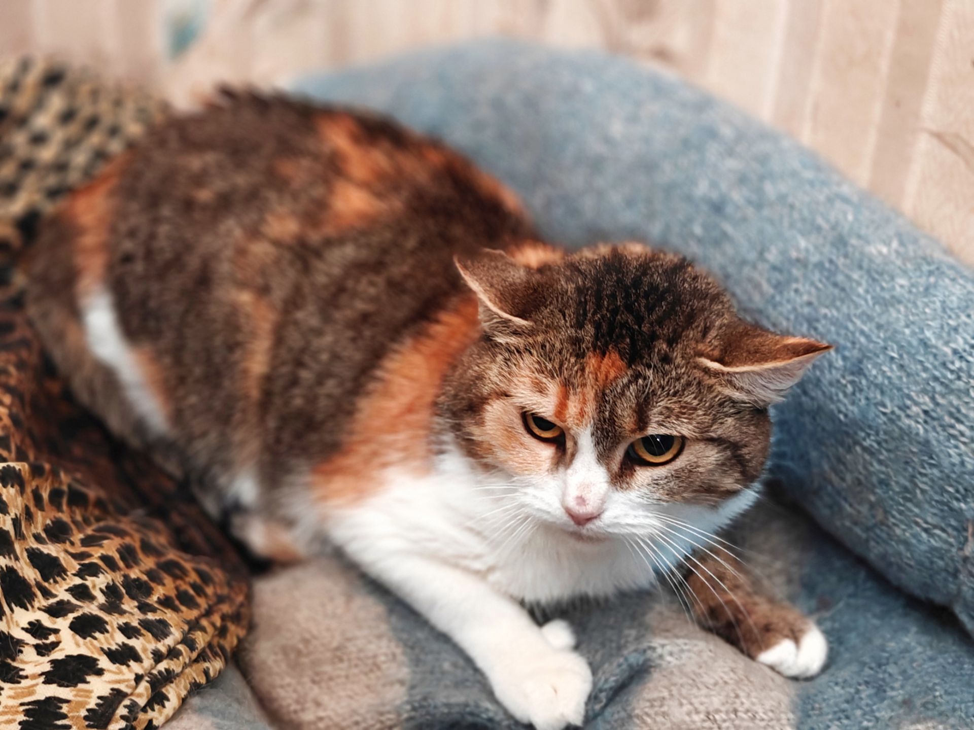 Карамелька