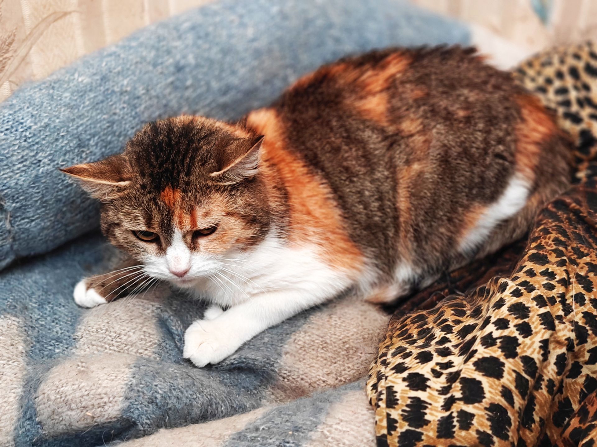 Карамелька