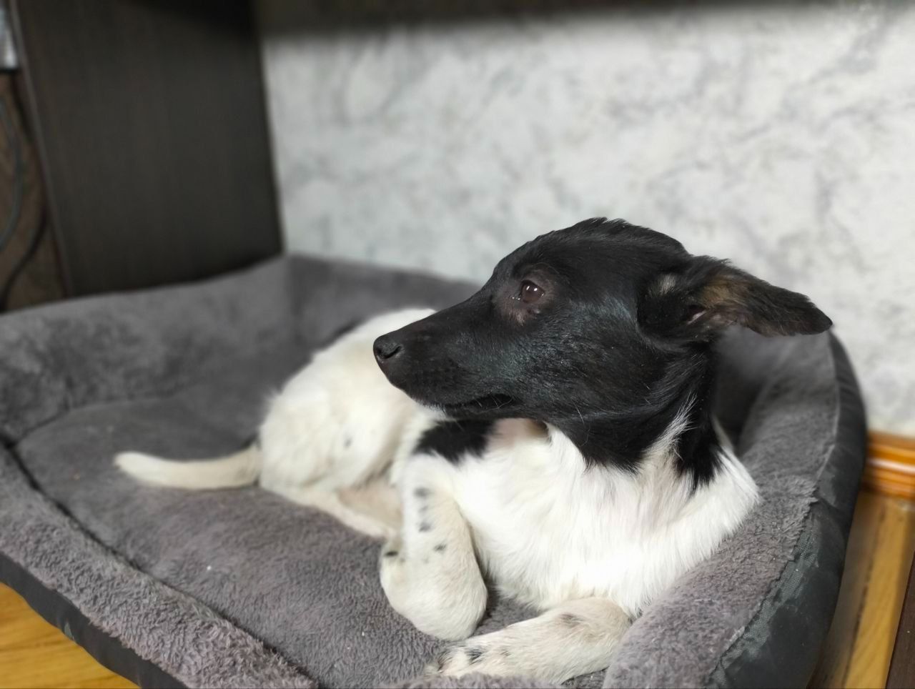 Дівчинка 4 місяці