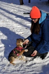 цуценя Террі