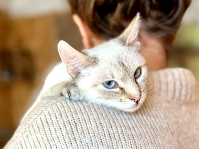 Кошеня Йоша