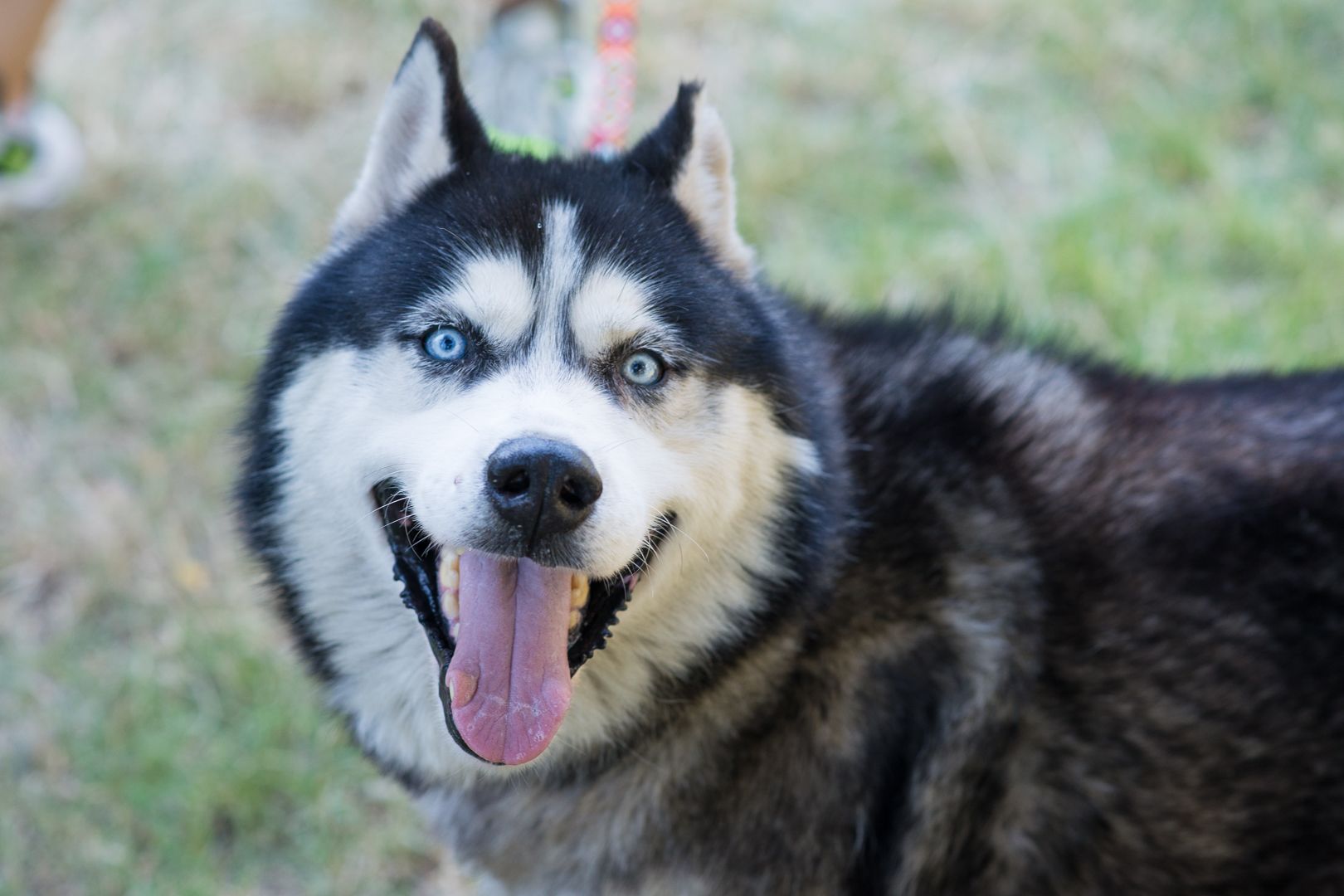 Харт шукає родину