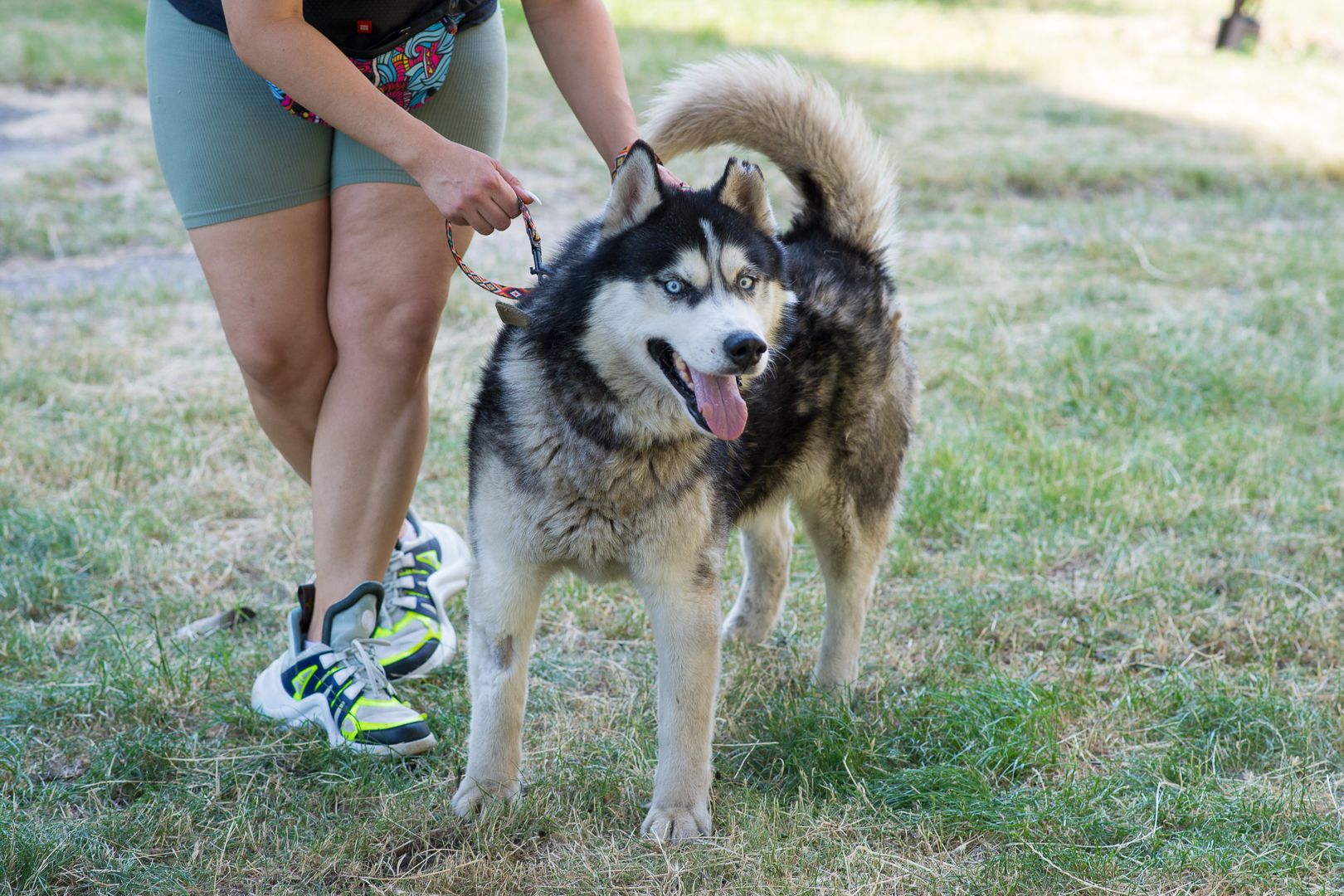 Харт шукає родину