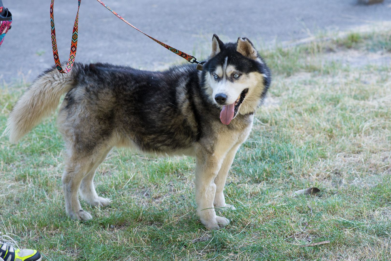 Харт шукає родину