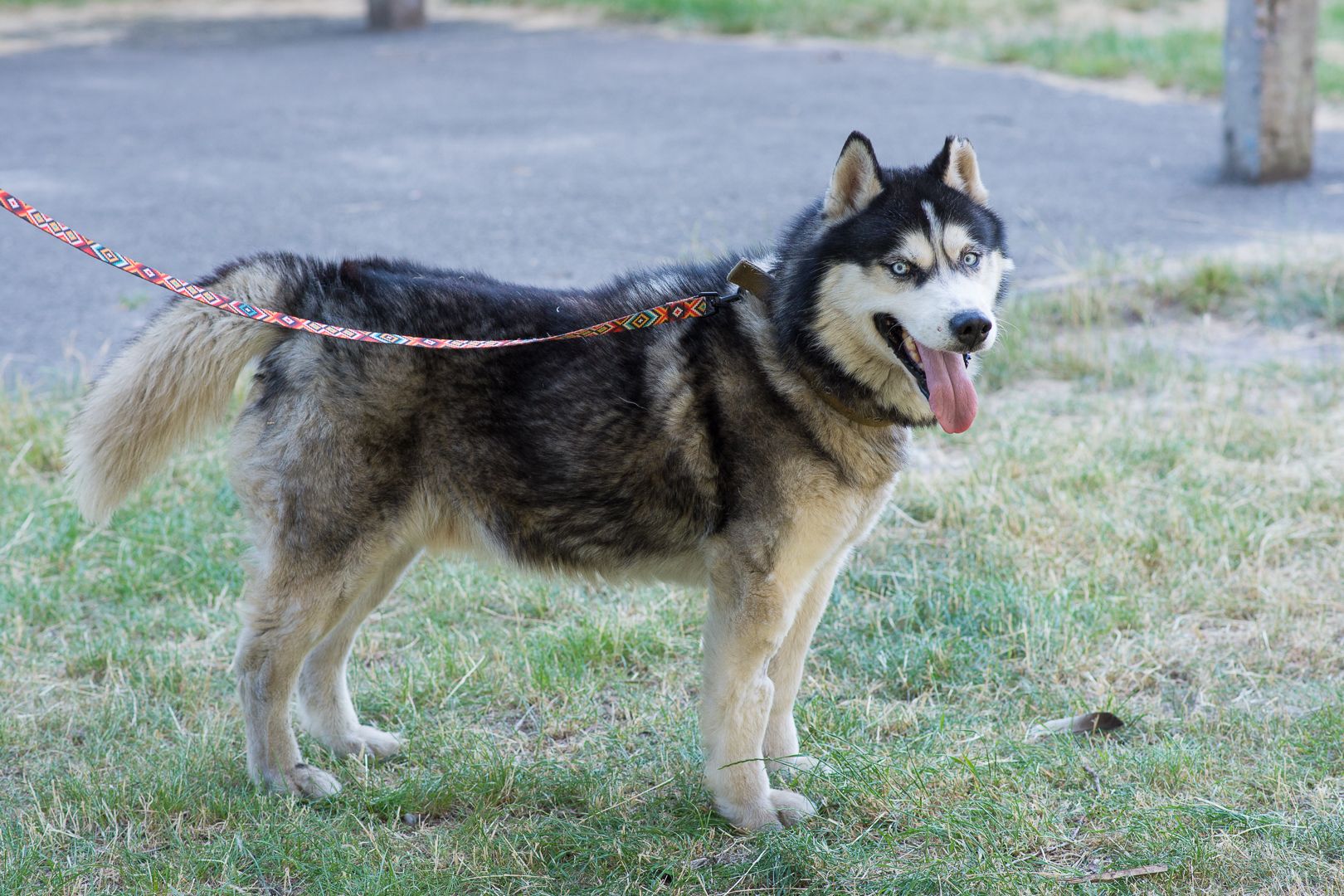 Харт шукає родину