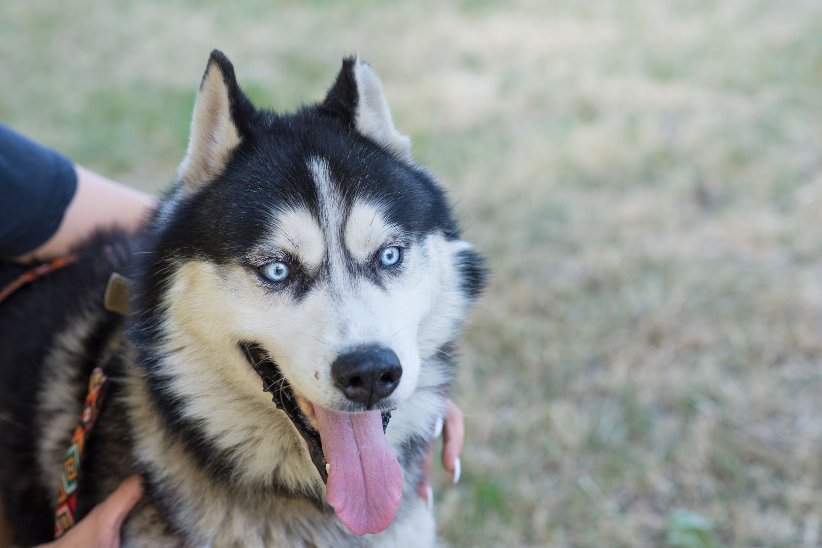 Харт шукає родину