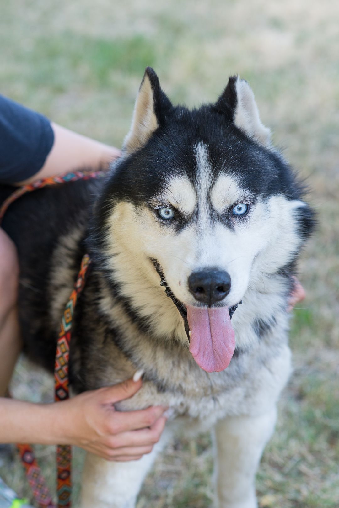 Харт шукає родину