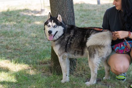 Харт шукає родину