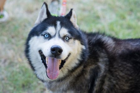 Харт шукає родину