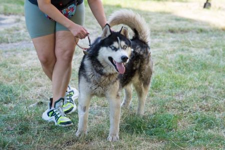 Харт шукає родину