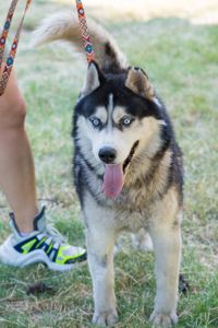 Харт шукає родину