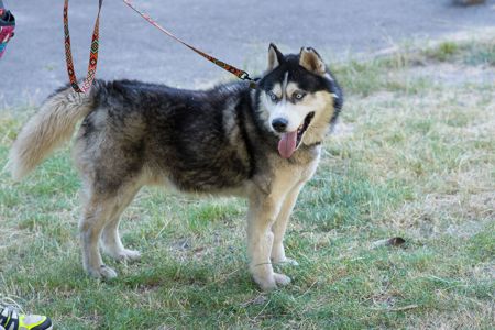 Харт шукає родину
